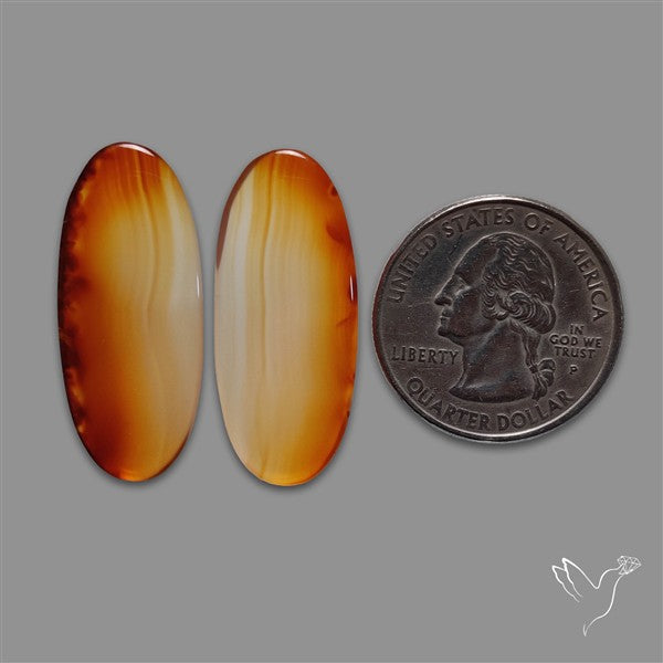 Montana Agate Pair