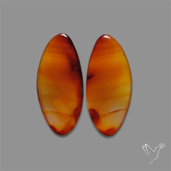 Montana Agate Pair