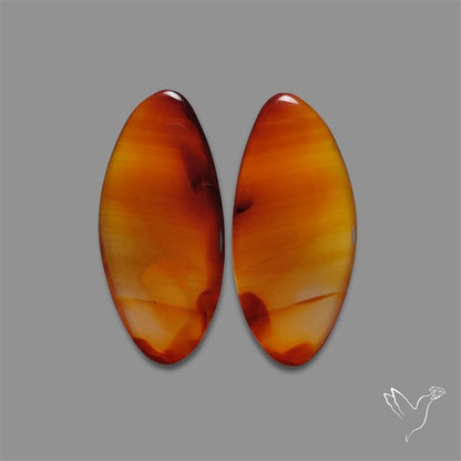 Montana Agate Pair