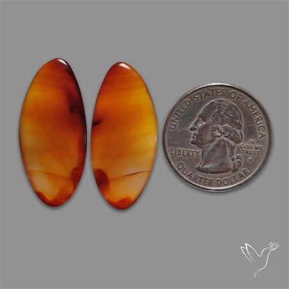 Montana Agate Pair