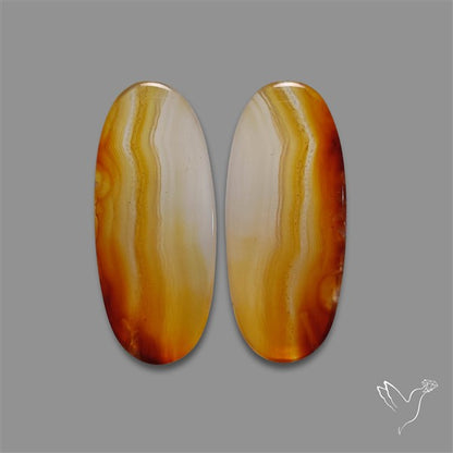 Montana Agate Pair