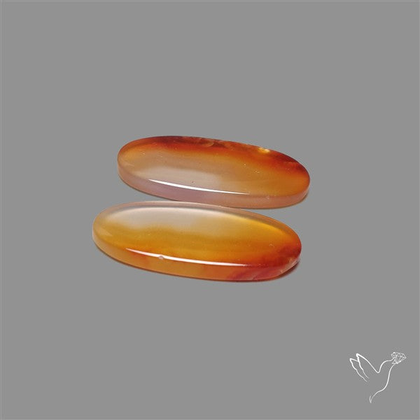 Montana Agate Pair