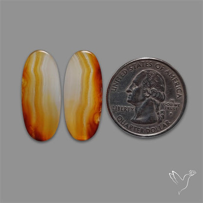 Montana Agate Pair