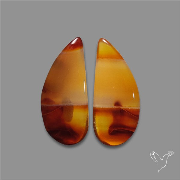 Montana Agate Pair
