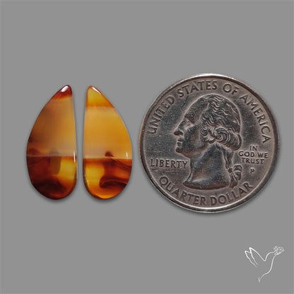 Montana Agate Pair