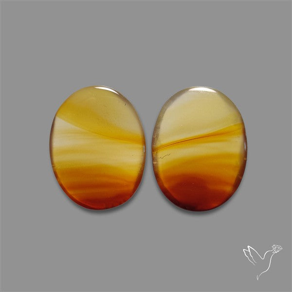 Montana Agate Pair