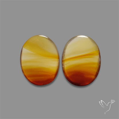 Montana Agate Pair