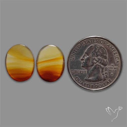 Montana Agate Pair