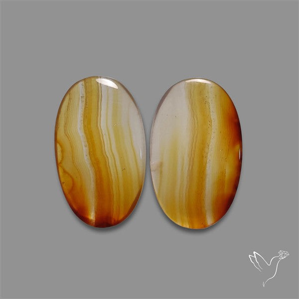 Montana Agate Pair