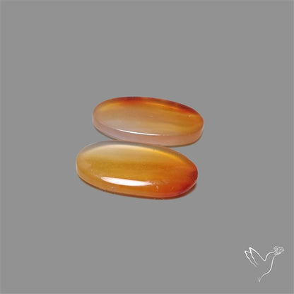 Montana Agate Pair