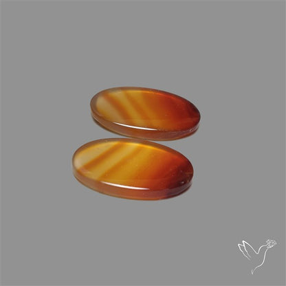 Montana Agate Pair