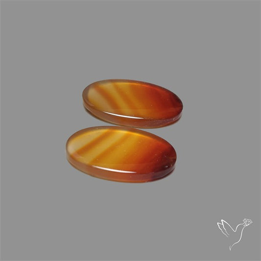 Montana Agate Pair