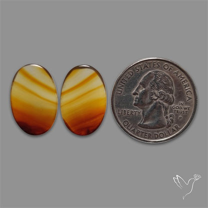 Montana Agate Pair