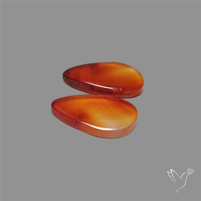 Montana Agate Pair