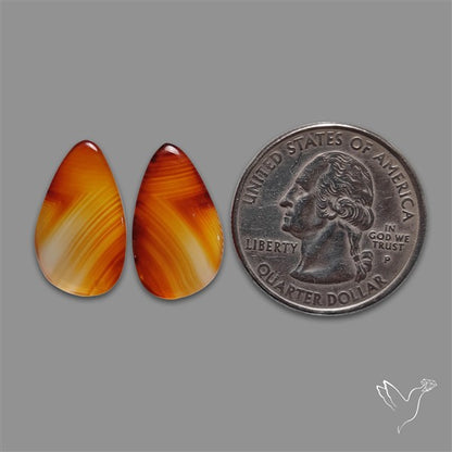 Montana Agate Pair
