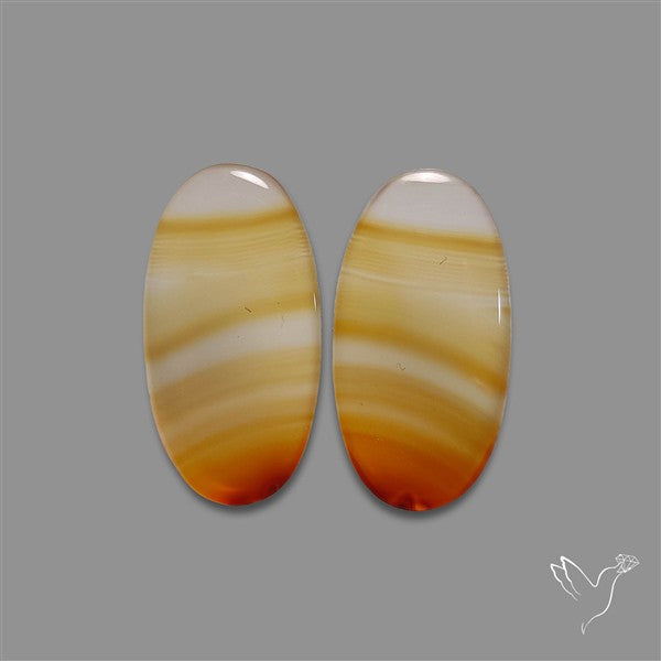 Montana Agate Pair