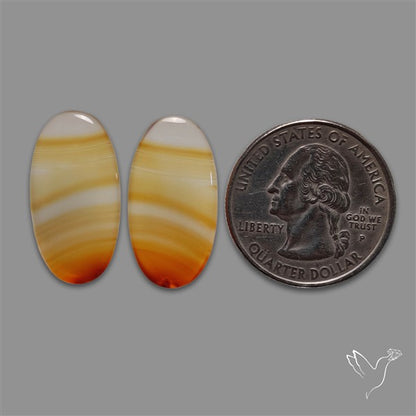 Montana Agate Pair