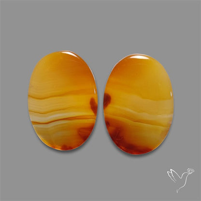 Montana Agate Pair