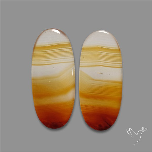 Montana Agate Pair