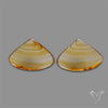 Montana Agate Pair