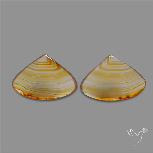 Montana Agate Pair