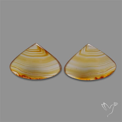 Montana Agate Pair