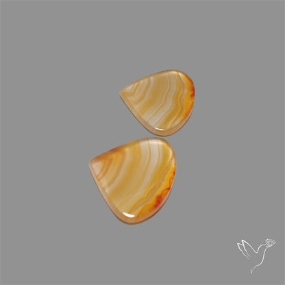 Montana Agate Pair