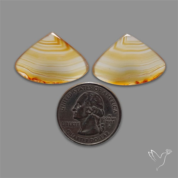 Montana Agate Pair