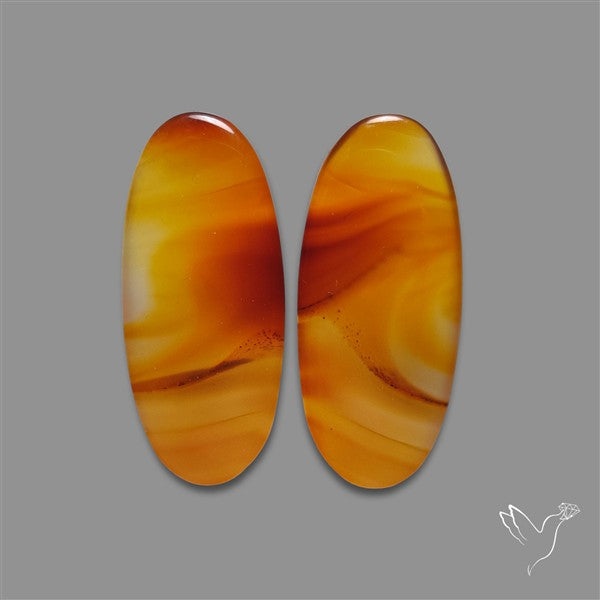 Montana Agate Pair