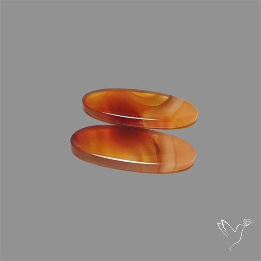 Montana Agate Pair