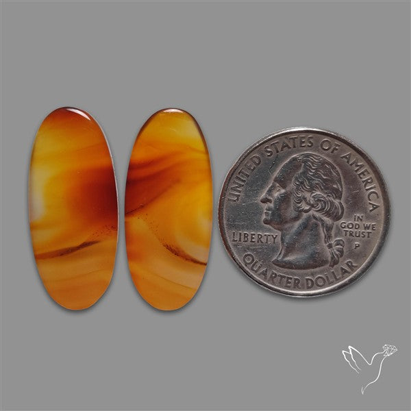 Montana Agate Pair