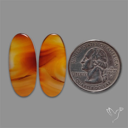 Montana Agate Pair
