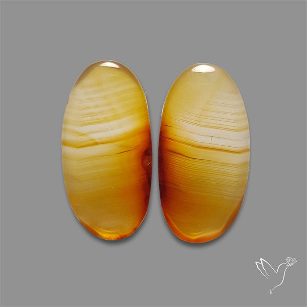 Montana Agate Pair