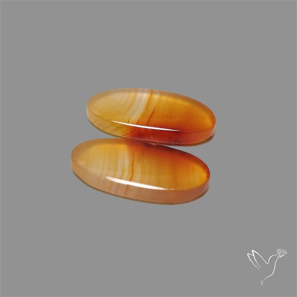 Montana Agate Pair