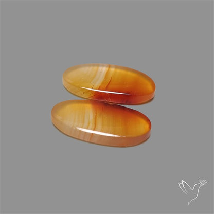 Montana Agate Pair