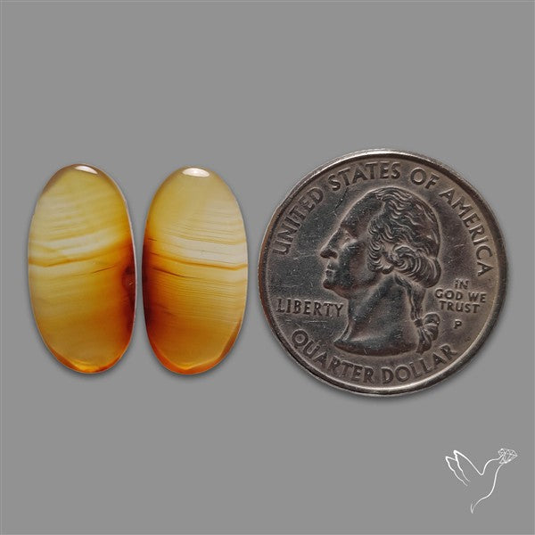 Montana Agate Pair