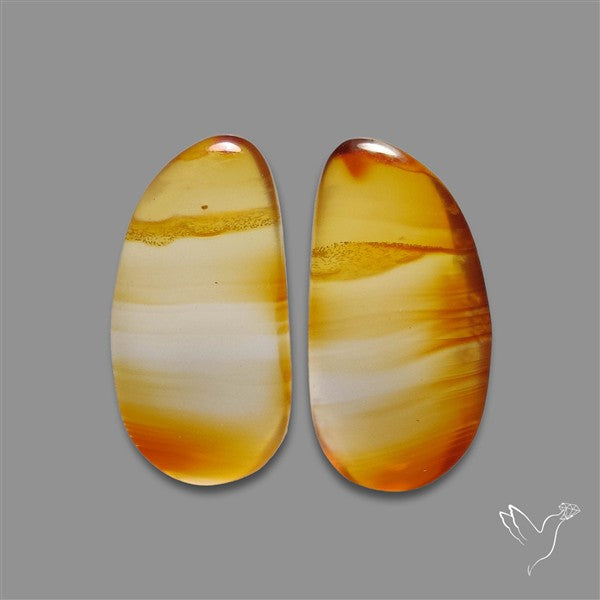 Montana Agate Pair