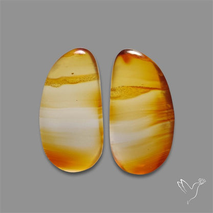Montana Agate Pair