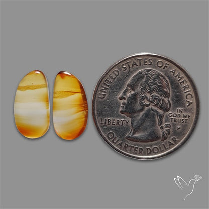 Montana Agate Pair