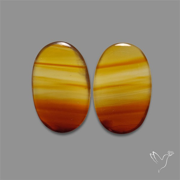 Montana Agate Pair