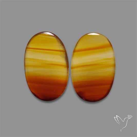 Montana Agate Pair