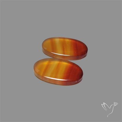Montana Agate Pair