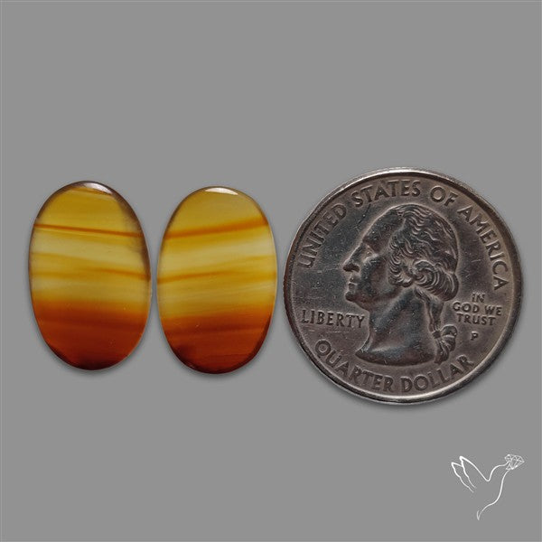 Montana Agate Pair