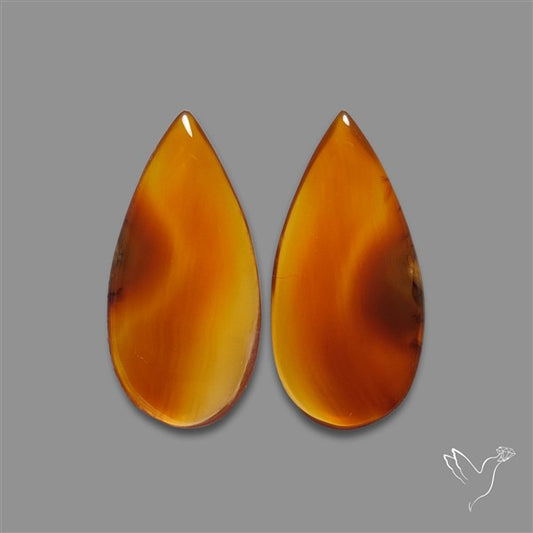 Montana Agate Pair
