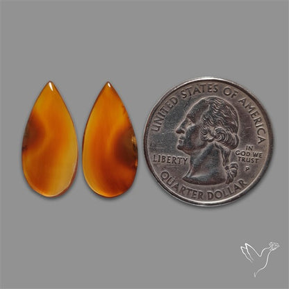 Montana Agate Pair