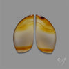 Montana Agate Pair