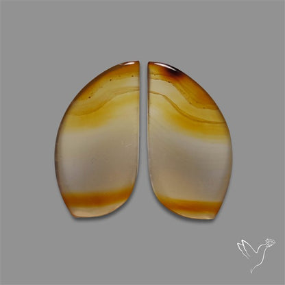 Montana Agate Pair
