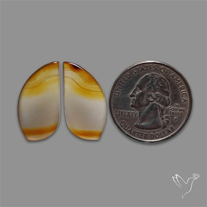 Montana Agate Pair