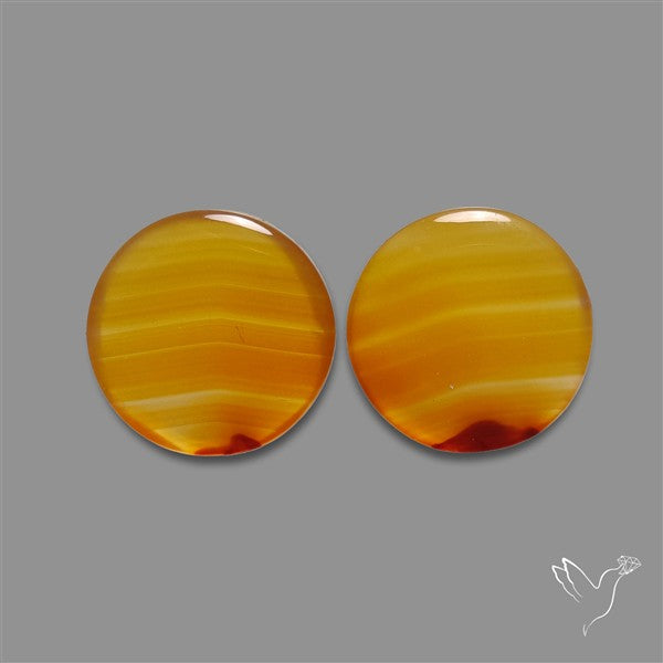 Montana Agate Pair