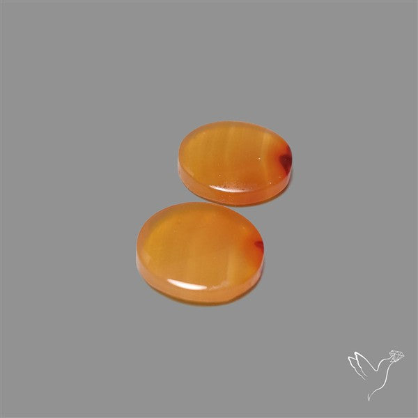 Montana Agate Pair
